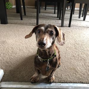 Meet your Posher, Jenny